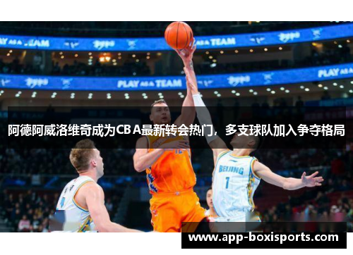 阿德阿威洛维奇成为CBA最新转会热门，多支球队加入争夺格局