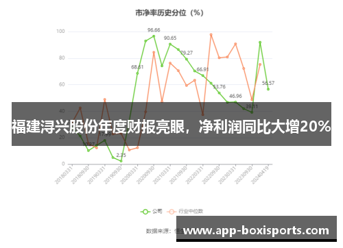 福建浔兴股份年度财报亮眼，净利润同比大增20%