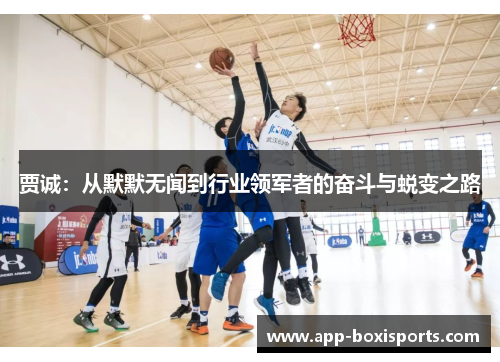 贾诚：从默默无闻到行业领军者的奋斗与蜕变之路